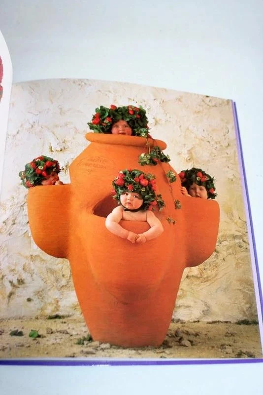 Boek "De tuin van de feeën" van Anne Geddes – photo 4